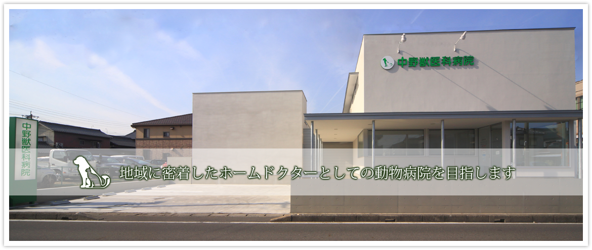 地域に密着したホームドクターとしての動物病院を目指します