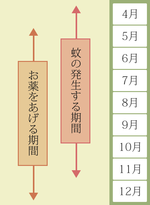 フィラリア時期