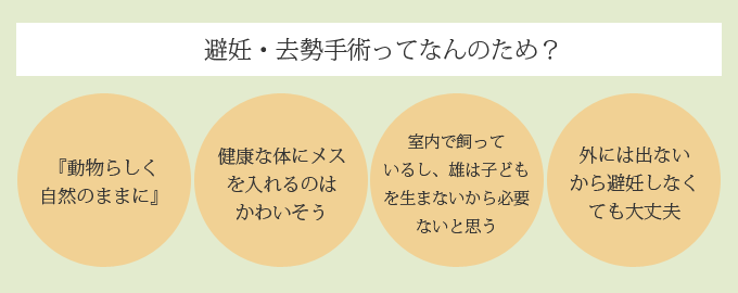 避妊・去勢手術ってなんのため？