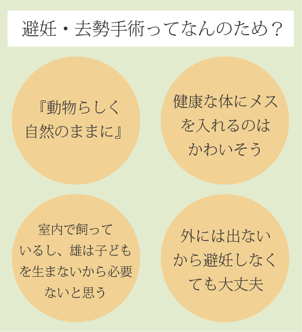 避妊・去勢手術ってなんのため？