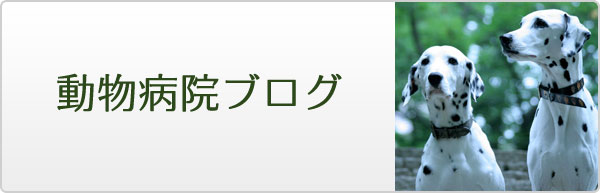 動物病院ブログ